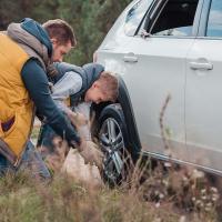 Fall Car Care